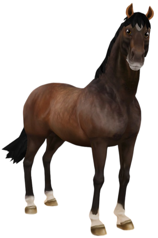 English Thoroughbred in Star Stable Online