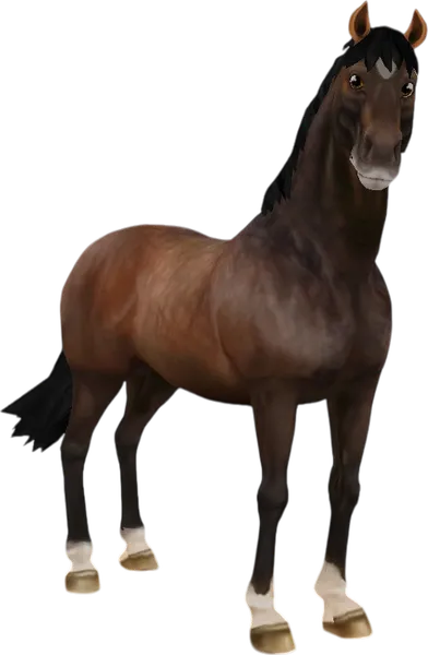 English Thoroughbred, Dapple Brown