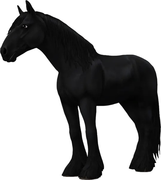 Shire, Black