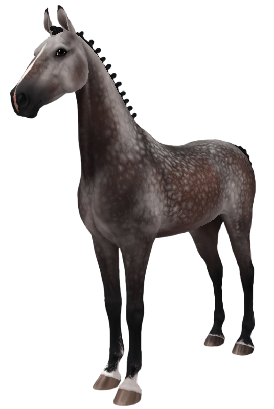 American Saddlebred in Star Stable Online