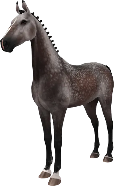 American Saddlebred, Rose Dapple Grey