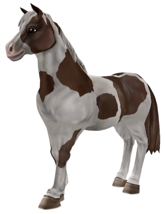Chincoteague Pony in Star Stable Online