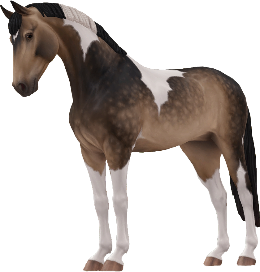 Selle Francais in Star Stable Online
