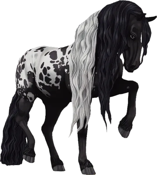 Jorvik Friesian, Black Extended Blanket