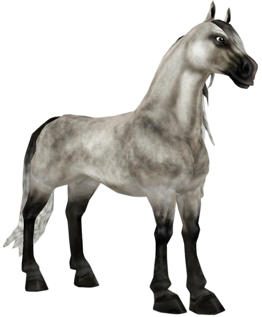 Andalusian in Star Stable Online