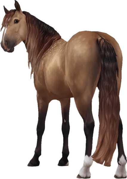 Jorvik Mountain Horse, Silver Buckskin