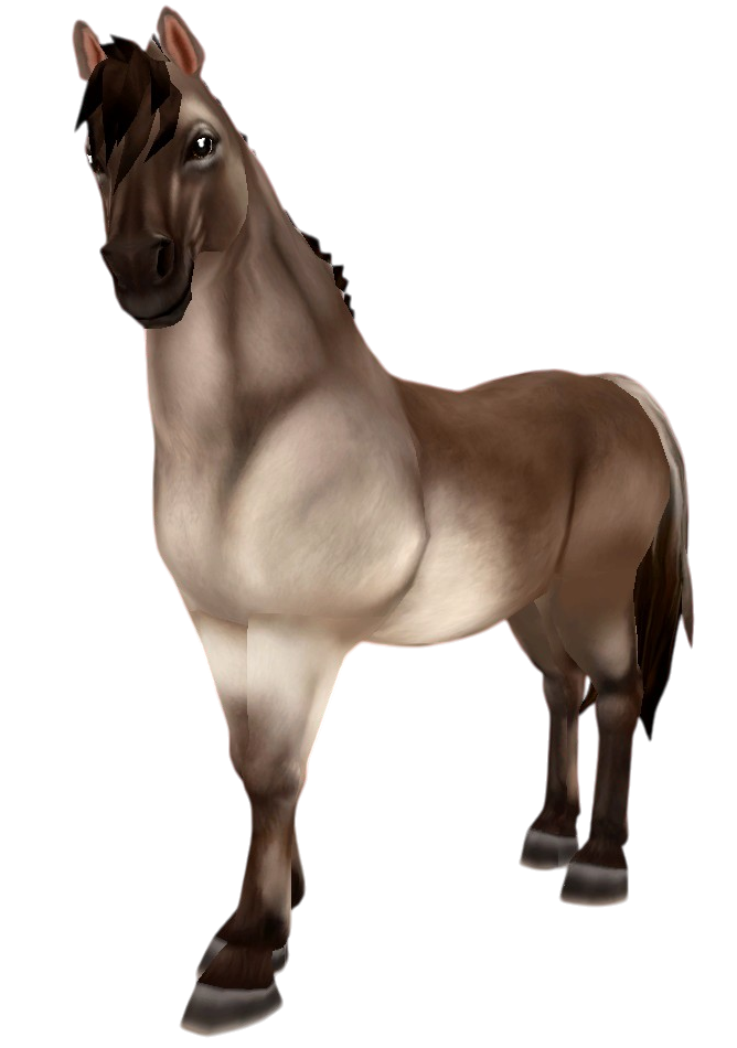 Fjord in Star Stable Online