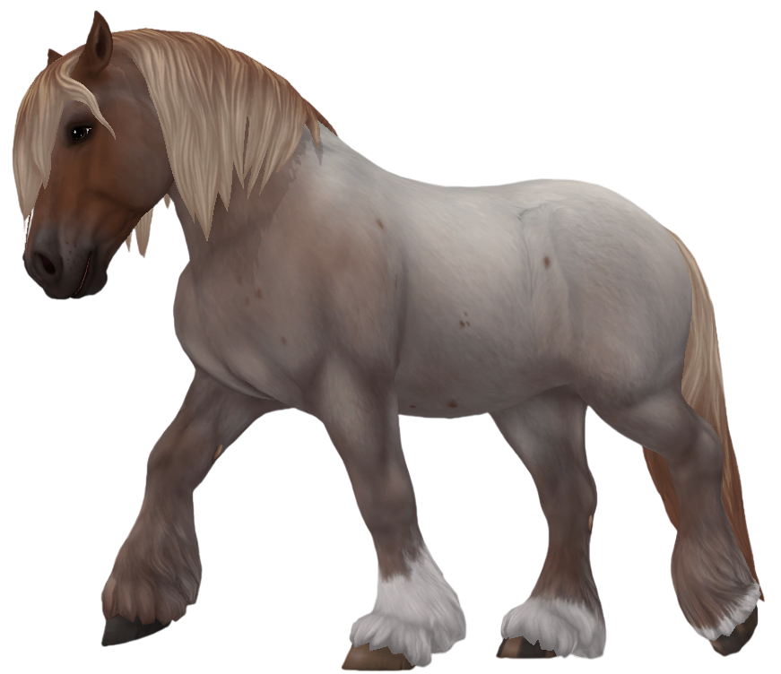 Ardennes in Star Stable Online