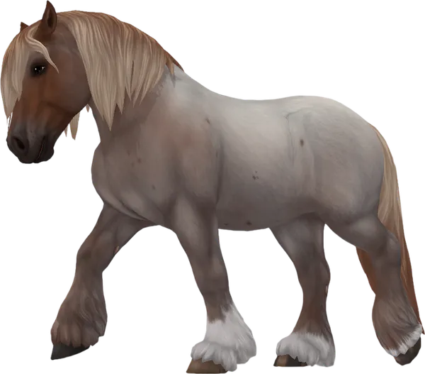 Ardennes, Strawberry Roan