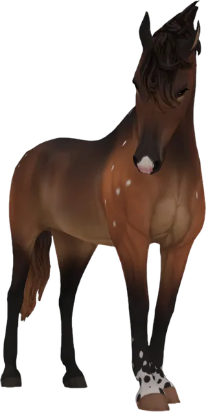 Belgian Warmblood, Sooty Bay With Bird Catcher Spots