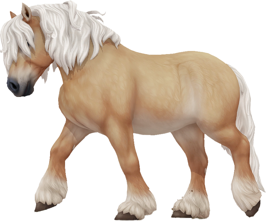 Ardennes in Star Stable Online