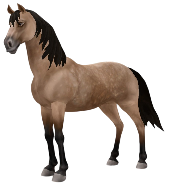 Morgan in Star Stable Online