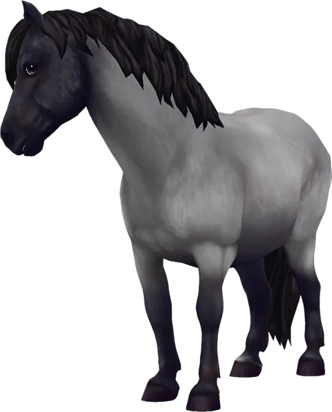 Jorvik Pony, Blue Roan