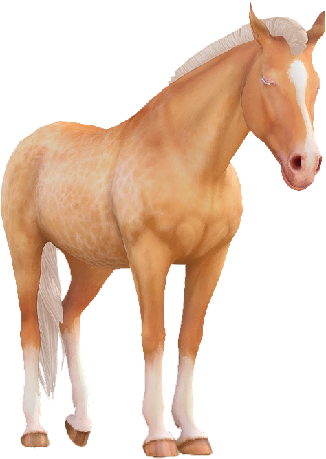 Appaloosa in Star Stable Online