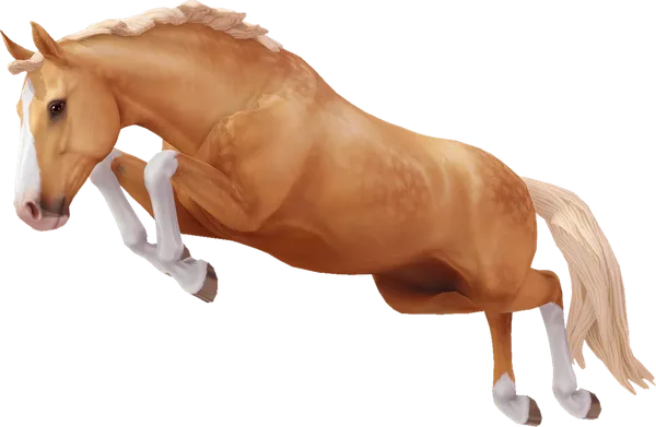 Hanoverian, Palomino