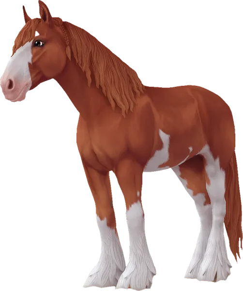 Shire, Chestnut Sabino