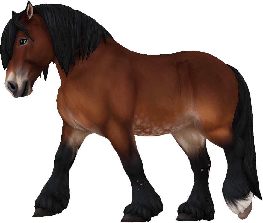 Ardennes in Star Stable Online