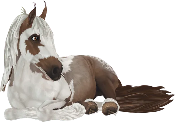 Jorvik Wild Horse, Red Roan Pintaloosa