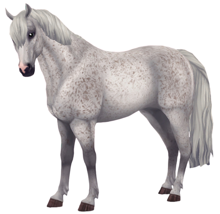 Jorvik Connemara in Star Stable Online