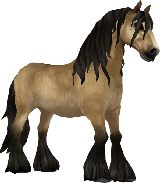 North Swedish Horse, Buckskin