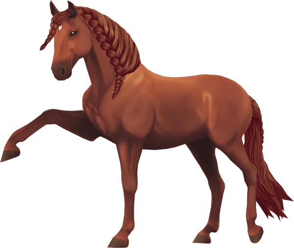 Jorvik Andalusian, Chestnut