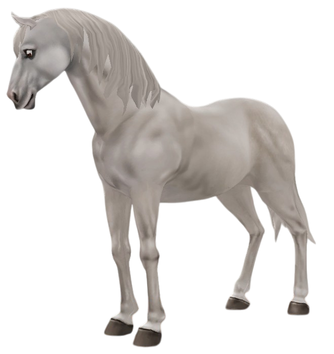 Selle Francais in Star Stable Online