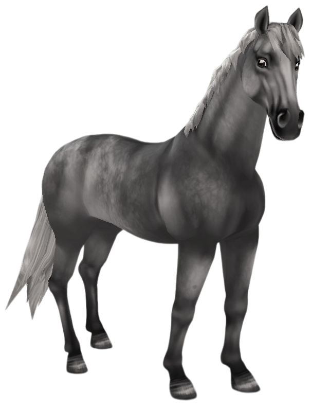 English Thoroughbred in Star Stable Online
