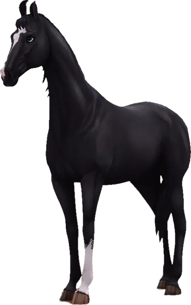 Marwari, Black
