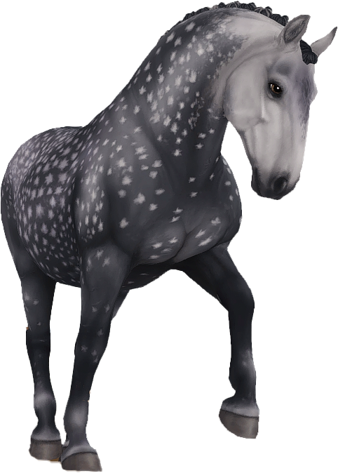 Lipizzaner in Star Stable Online