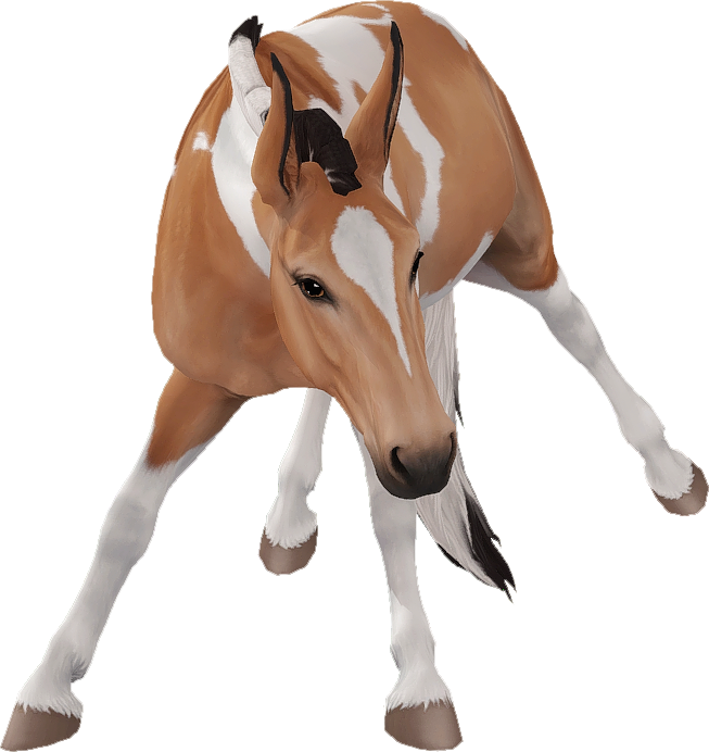 Mule in Star Stable Online