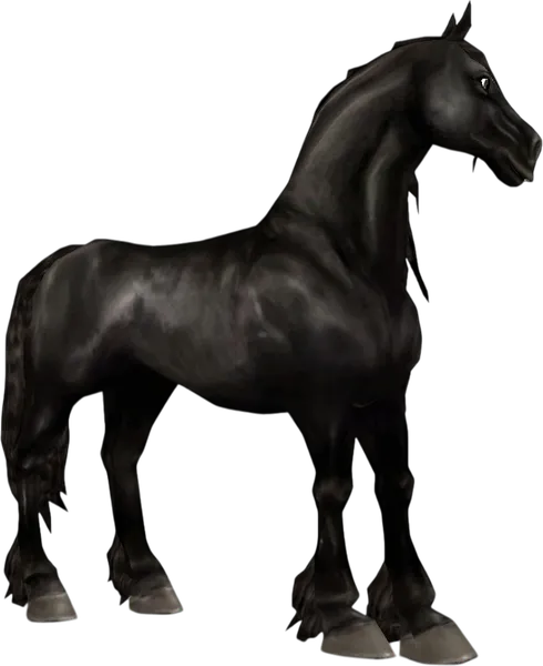 Friesian, Sun Bleached Black