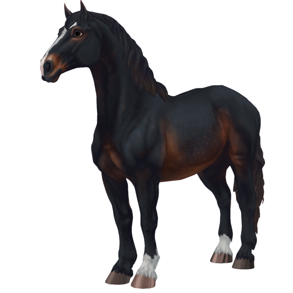 Percheron in Star Stable Online