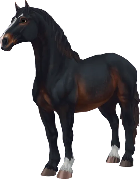 Percheron, Seal Bay