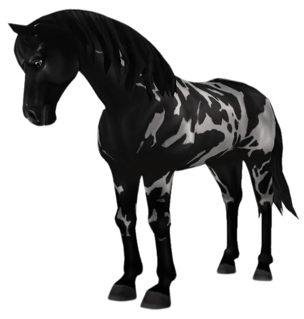 Appaloosa in Star Stable Online