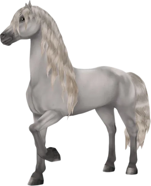 Friesian Sport Horse, Light Grey