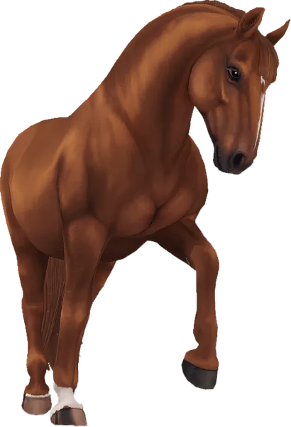 Lipizzaner, Chestnut