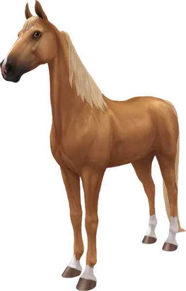 American Saddlebred, Palomino
