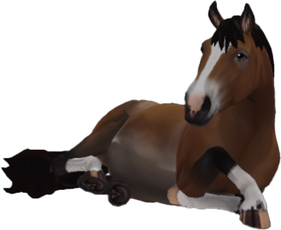 Finnhorse in Star Stable Online