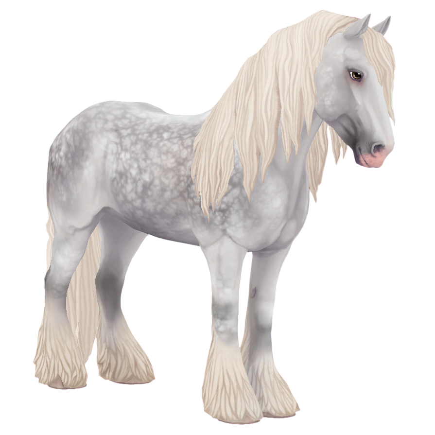 Irish Cob in Star Stable Online