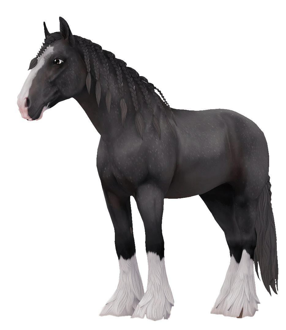 Shire in Star Stable Online