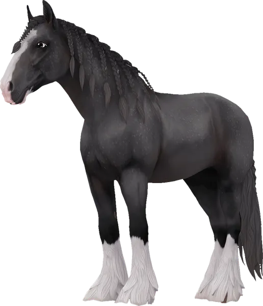 Shire, Steel Grey
