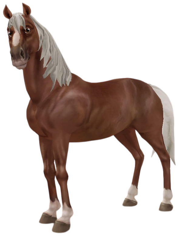 Morab in Star Stable Online