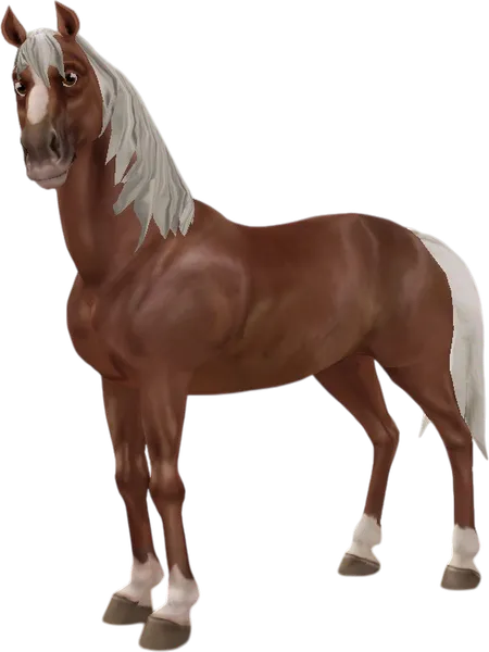 Morab, Flaxen Chestnut