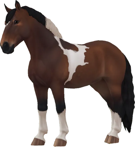 Noriker, Bay Tobiano