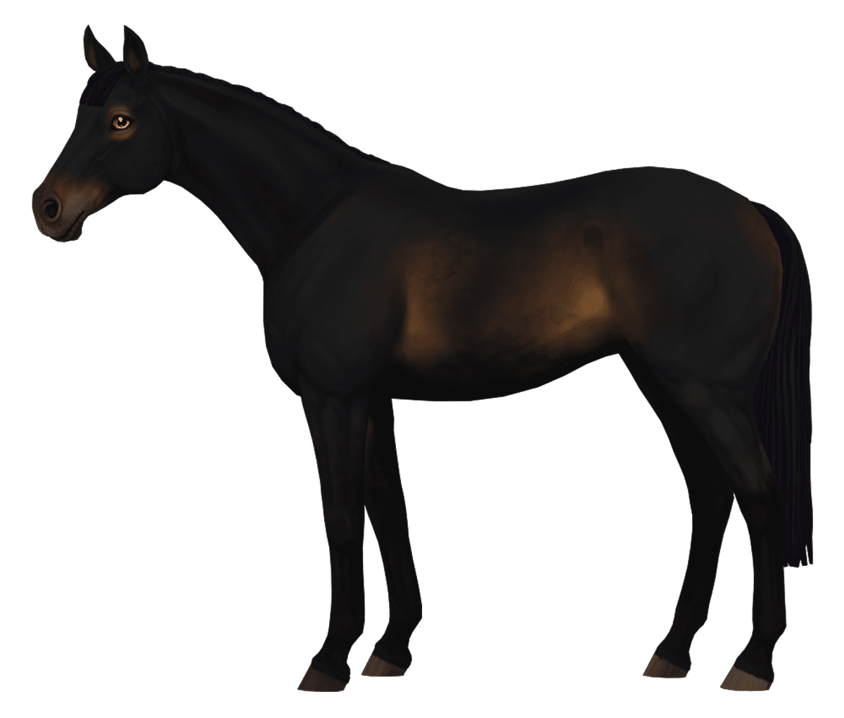 English Thoroughbred in Star Stable Online