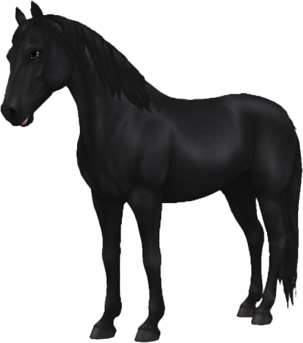 Morgan in Star Stable Online