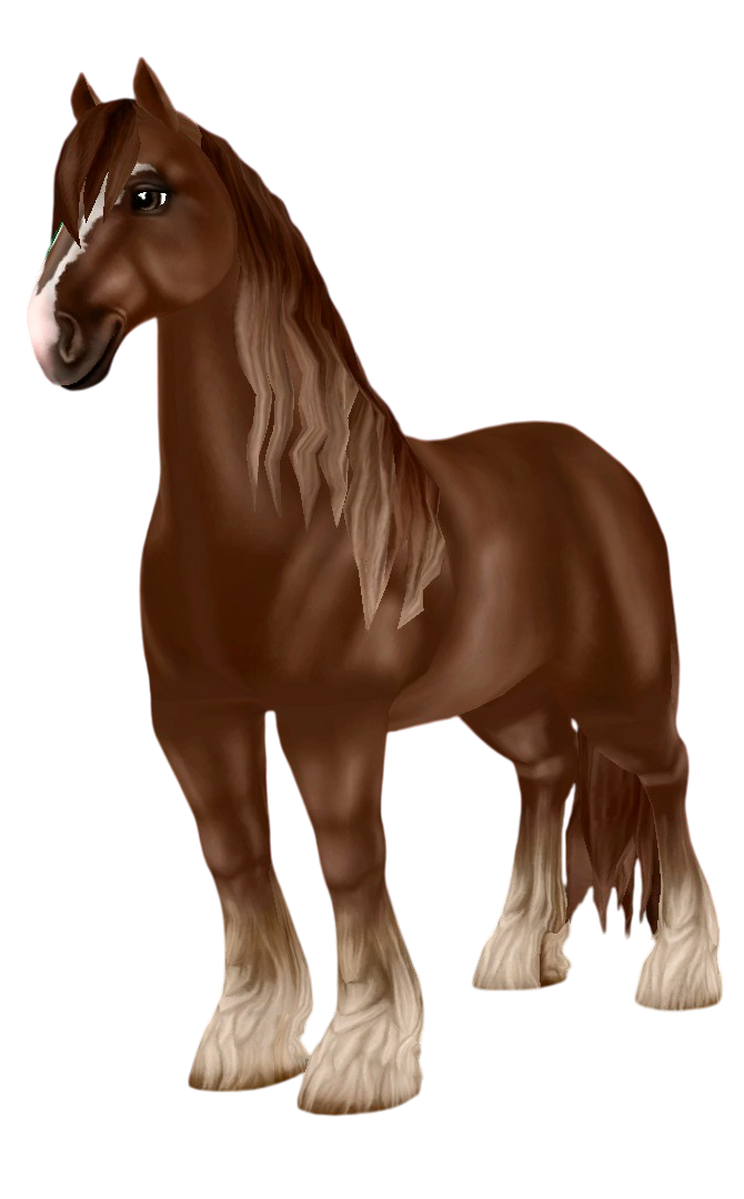 Shire in Star Stable Online