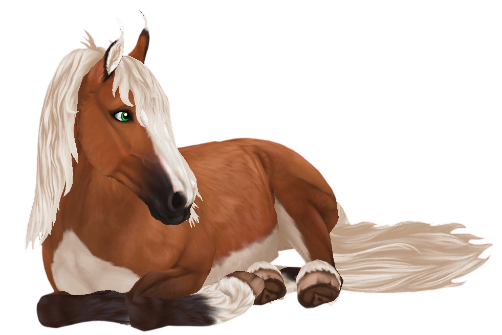 Jorvik Wild Horse in Star Stable Online