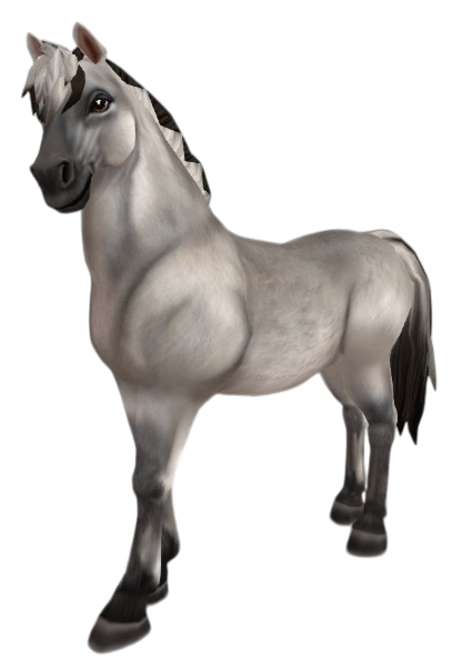 Fjord in Star Stable Online