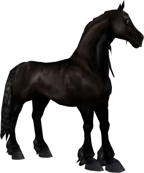 Friesian, Jet Black